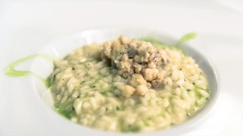 Ein italienisches Risotto mit Fisch und Minze ist auf einem weißen Teller angerichtet.