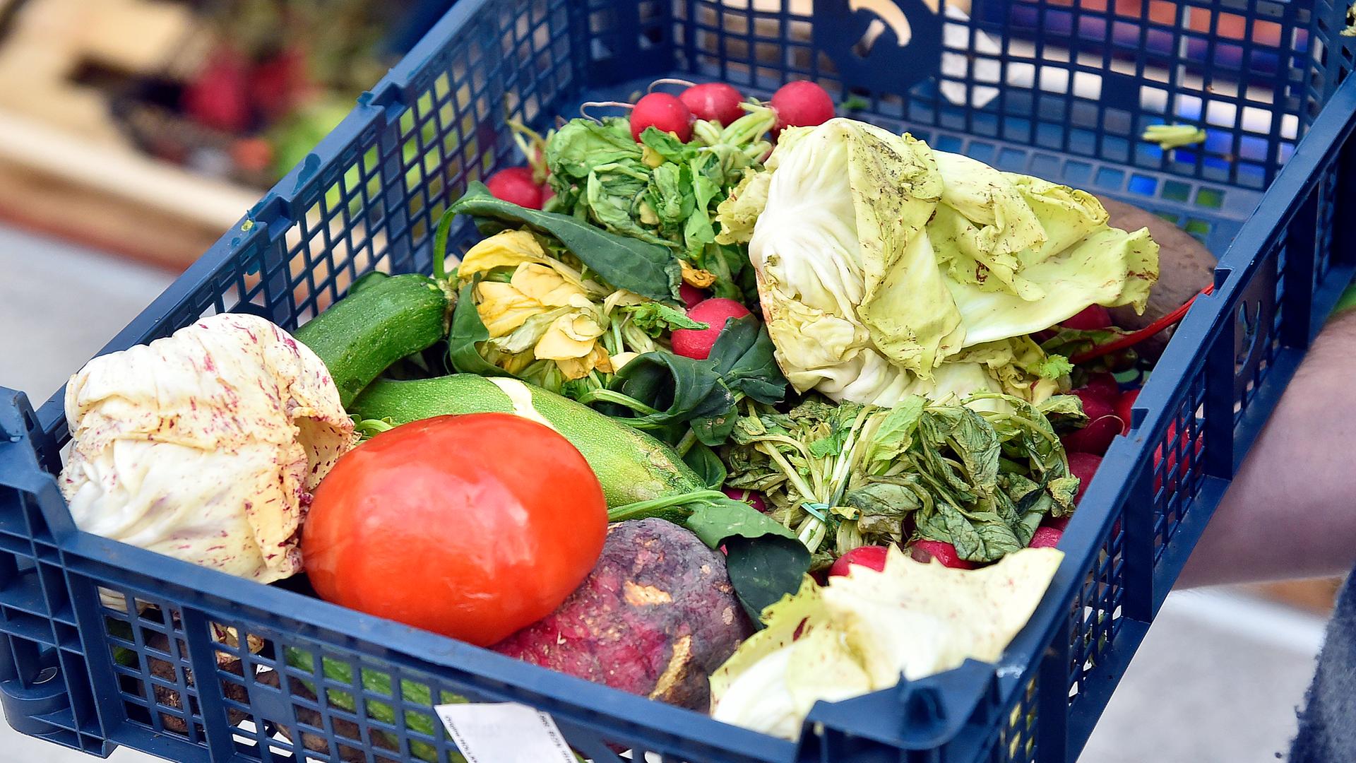 Von einer Foodsharing-Initiative gerettetes Gemüse in einer Kiste. Das Gemüse ist ästhetisch nicht ganz ansprechend, aber dennoch essbar.