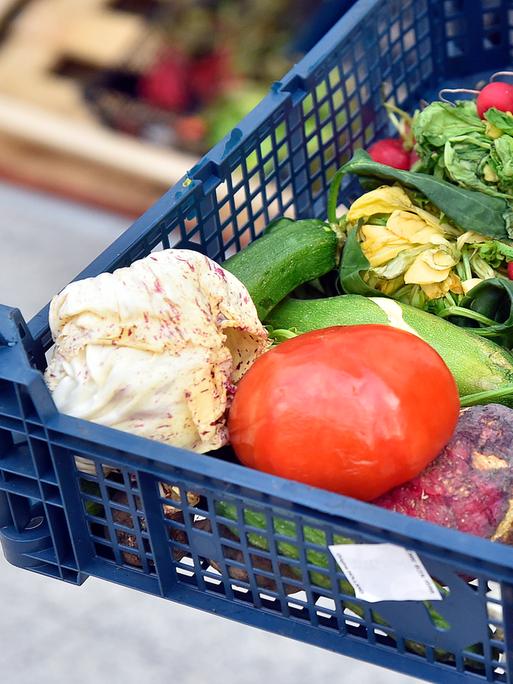 Von einer Foodsharing-Initiative gerettetes Gemüse in einer Kiste. Das Gemüse ist ästhetisch nicht ganz ansprechend, aber dennoch essbar.