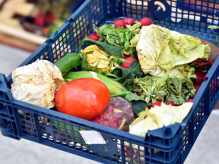 Von einer Foodsharing-Initiative gerettetes Gemüse in einer Kiste. Das Gemüse ist ästhetisch nicht ganz ansprechend, aber dennoch essbar.