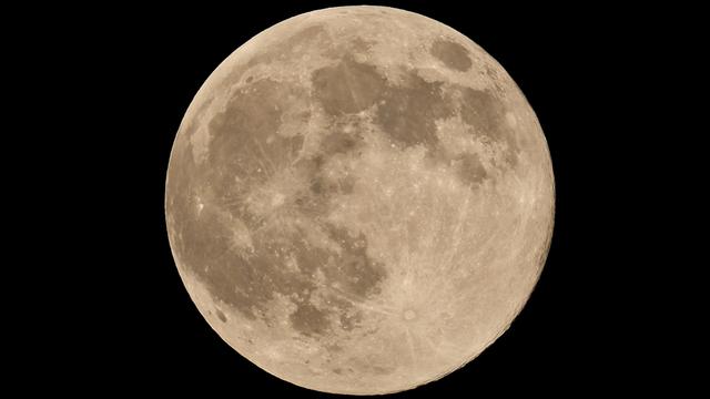 Eine Nahaufnahme zeigt den vollen Mond mit seiner strukturierten Oberfläche.