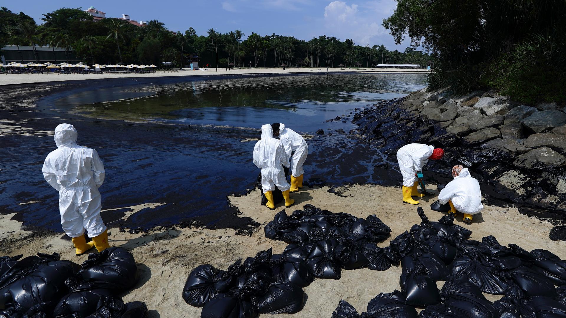 Arbeiter in Schutzanzügen schaufeln an einem Strand die schwarze Masse eines Ölteppichs in Plastiksäcke.