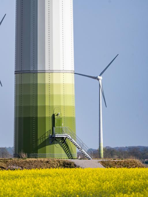 Windkraftwerke und Windpark in einem blühenden Rapsfeld bei Kerken am Niederrhein.