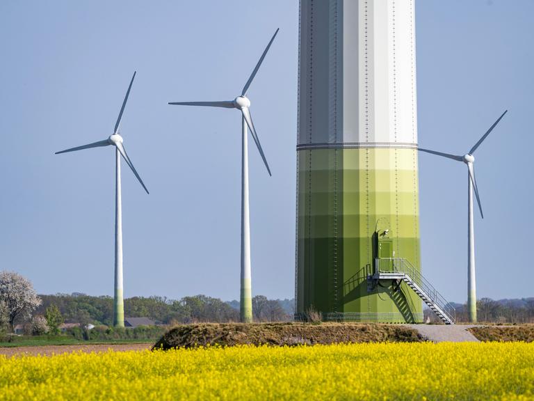 Windkraftwerke und Windpark in einem blühenden Rapsfeld bei Kerken am Niederrhein.