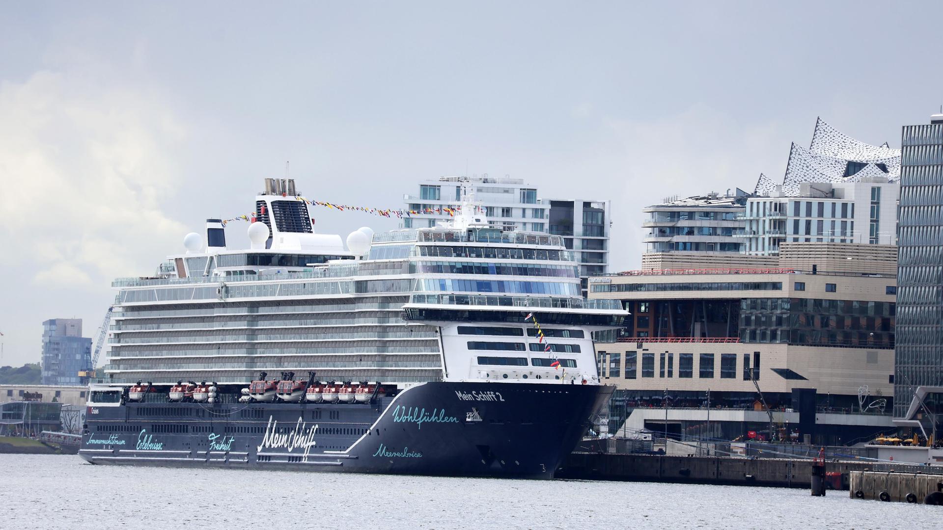 Blick aus der Ferne auf das riesige Schiff am Kai, dahinter mehrere Gebäude. 