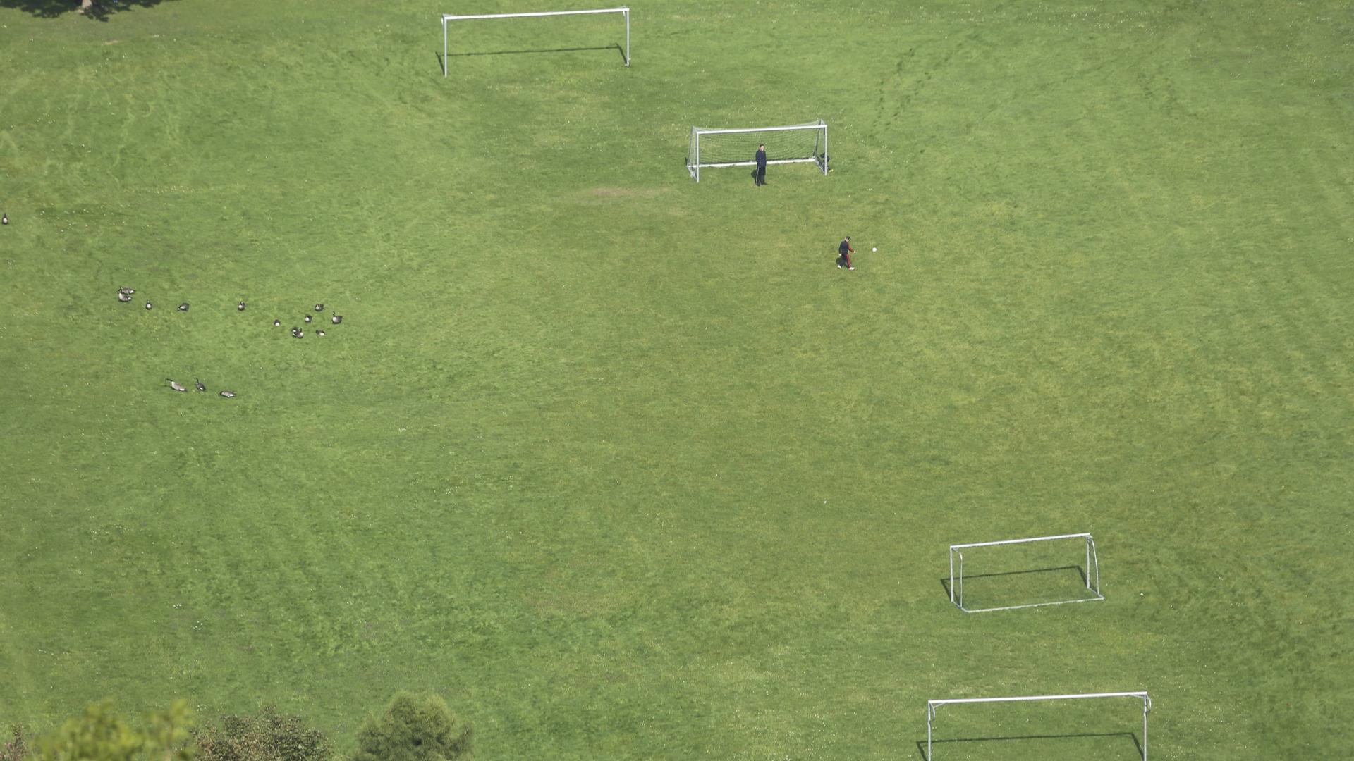 Ein Fußballplatz von oben. Zwei Menschen sind als kleine Figuren zu erkennen.