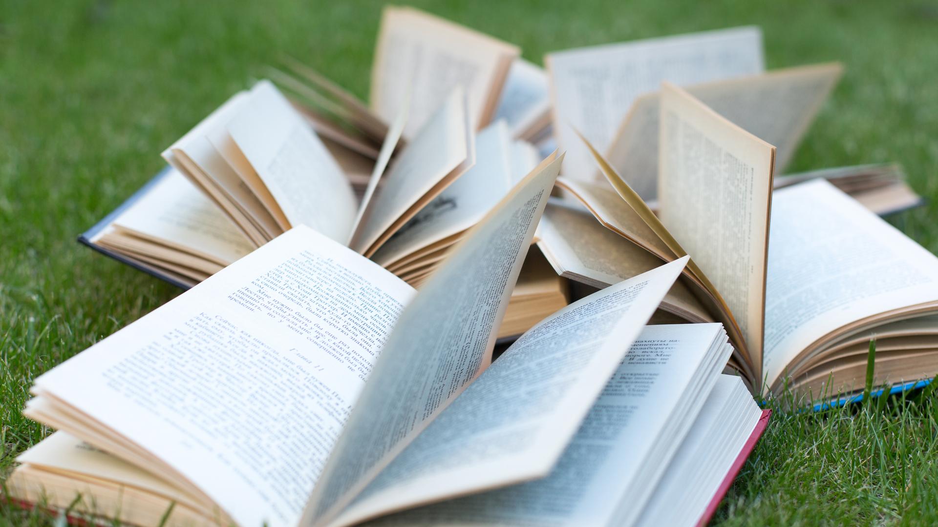 Offene Bücher liegen verstreut auf einer Wiese.