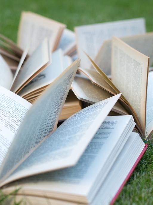 Offene Bücher liegen verstreut auf einer Wiese. Offene Bücher liegen verstreut auf einer Wiese.