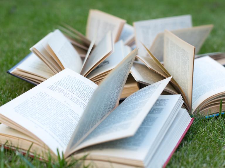 Offene Bücher liegen verstreut auf einer Wiese. Offene Bücher liegen verstreut auf einer Wiese.