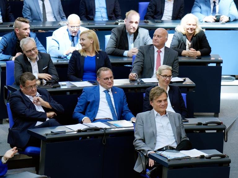 Die Fraktion der AfD in der 177. Sitzung des Deutschen Bundestages im Reichstagsgebäude.