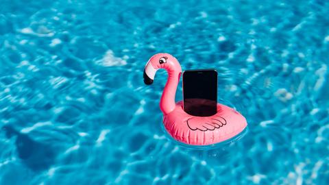 Ein Smartphone auf einem Gummi-Flamingo in einem Pool.