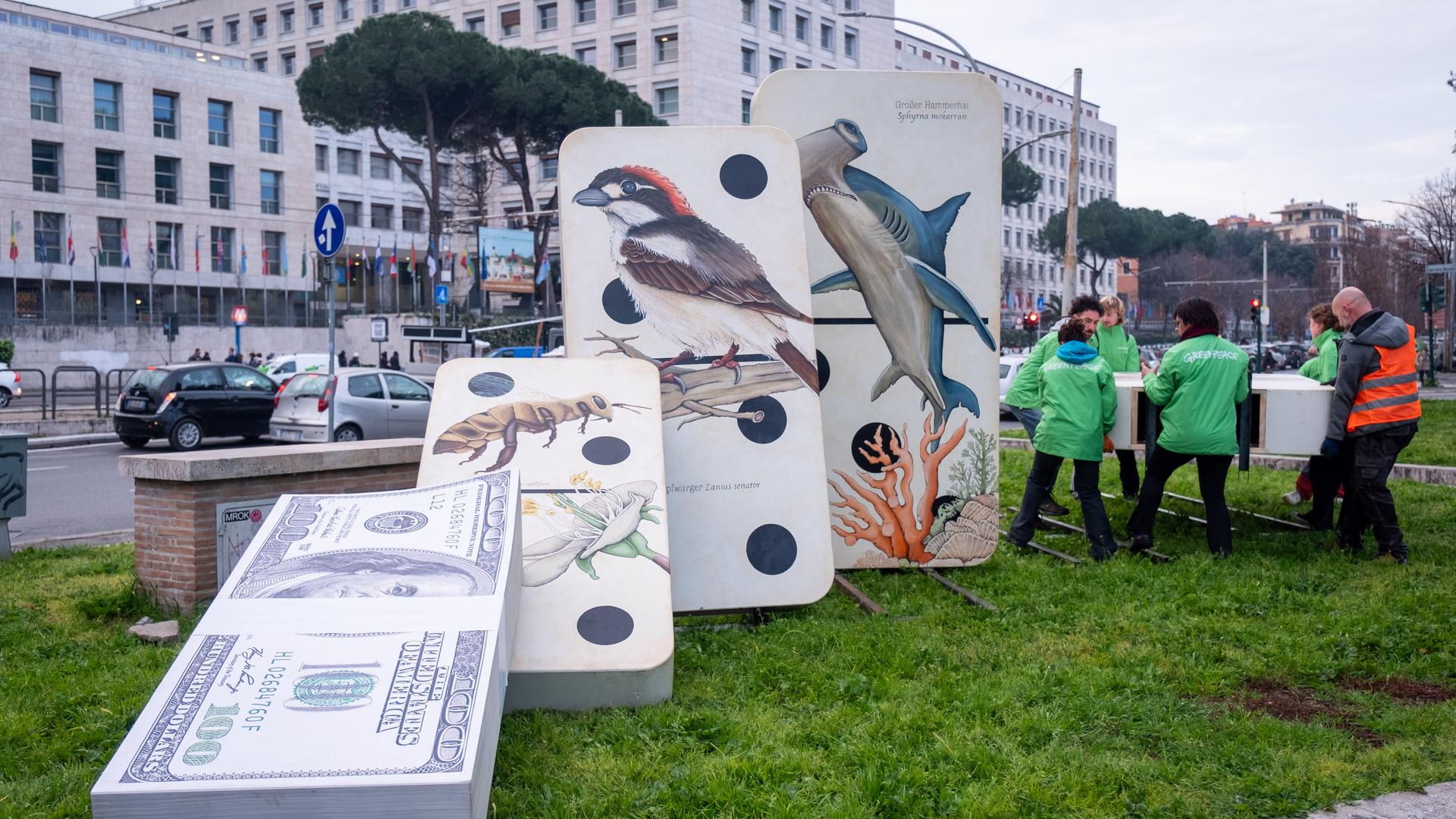 Vor der Weltnaturkonferenz in Rom protestieren Aktivisten von Greenpeace mit Schautafeln für mehr Artenschutz. 