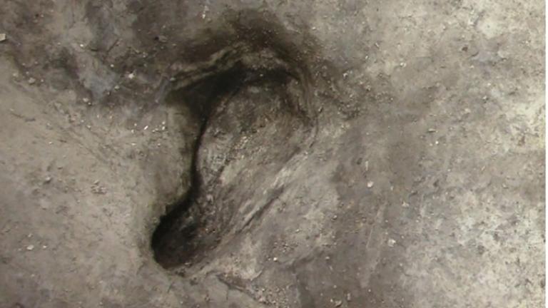 Ungefähr 300.000 Jahre alter Fußabdruck in Schöningen in Niedersachsen.