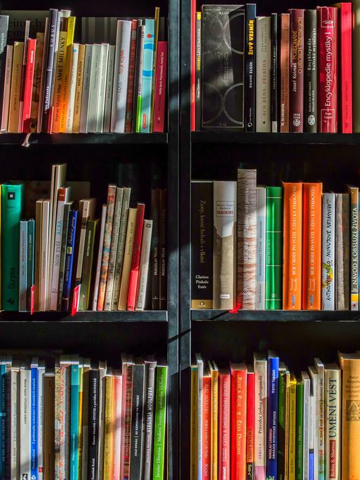 Bücherregal Bücherregal