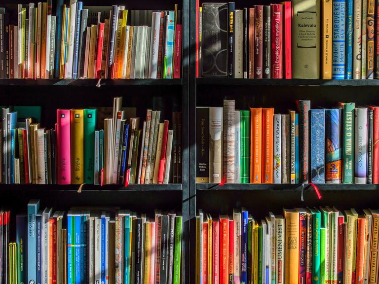 Bücherregal Bücherregal