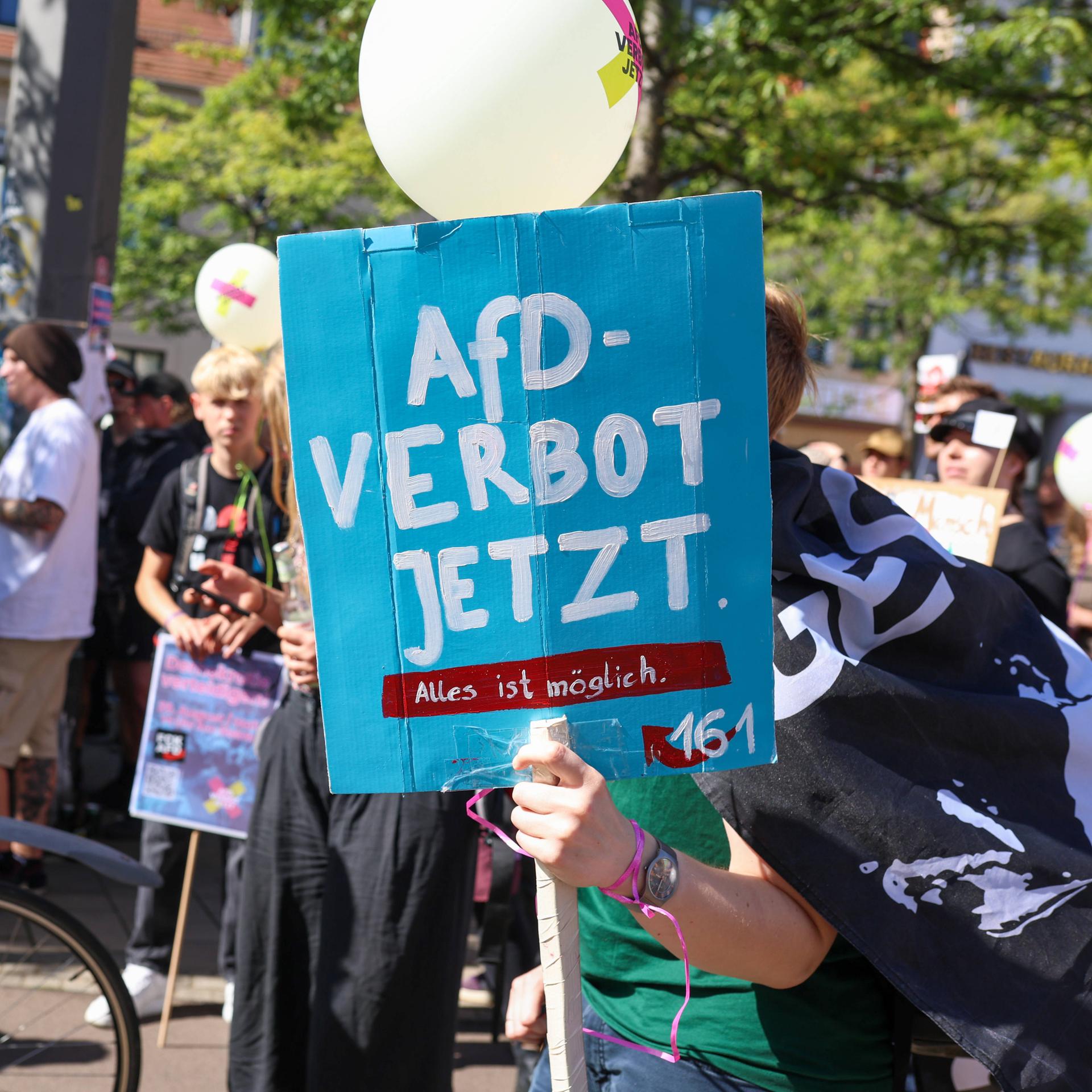 AfD-Verbot - Historiker Frei: "Ein Verbotsantrag hätte längst erfolgen müssen"