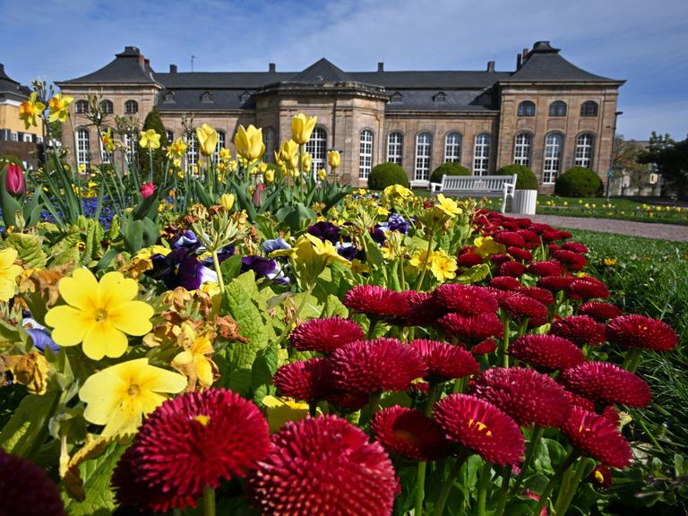 Frühlingsblumen in einem Bett vor dem Schloss Friedenstein, dahinter ist ein Weg mit Bank erkennbar