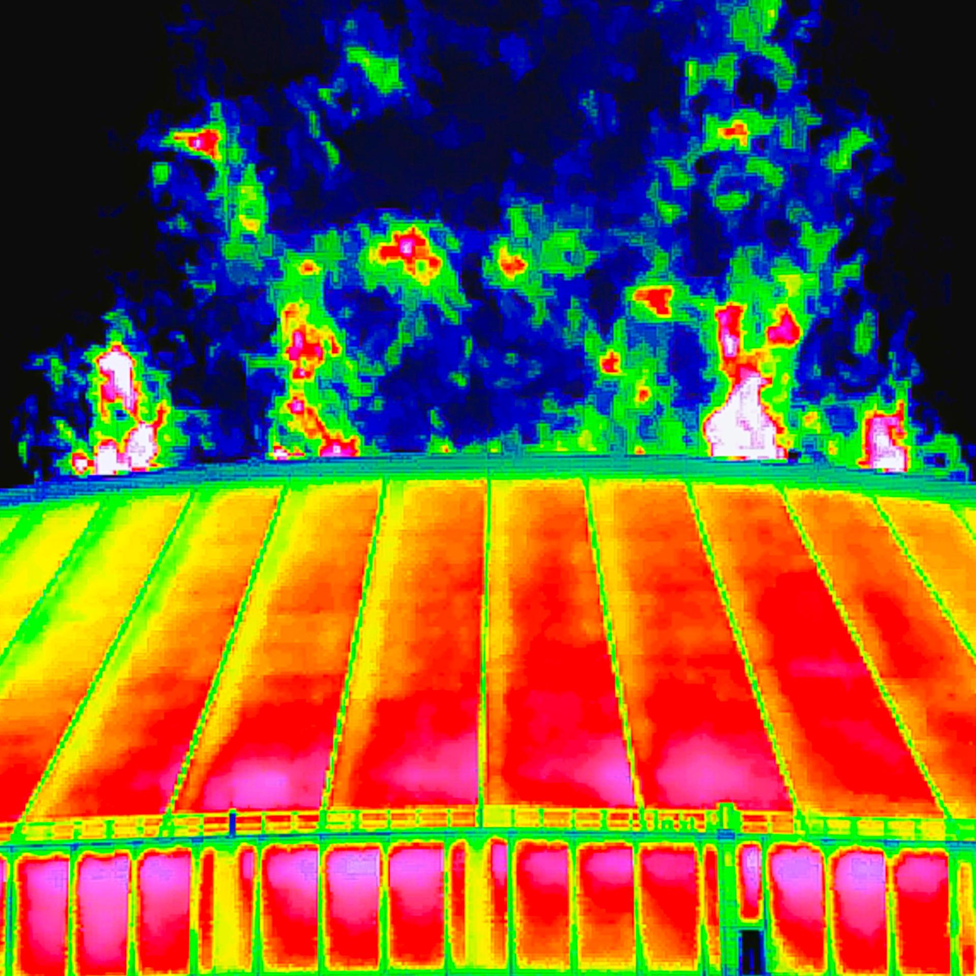 Wärmebild: Wasserdampf steigt aus dem Kühlturm im Kernkraftwerk Neckarwestheim.