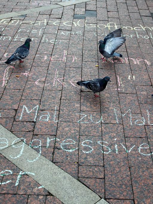 Einige Tauben stehen am Donnerstag, dem 8. April 2021 in der Füßgängerzone nahe Husemannplatz in Bochum auf dem mit Straßenmalkreide erstellten Sprüchen von sexuellen Belästigungen durch Männer. Einige Tauben stehen am Donnerstag, dem 8. April 2021 in der Füßgängerzone nahe Husemannplatz in Bochum auf dem mit Straßenmalkreide erstellten Sprüchen von sexuellen Belästigungen durch Männer.