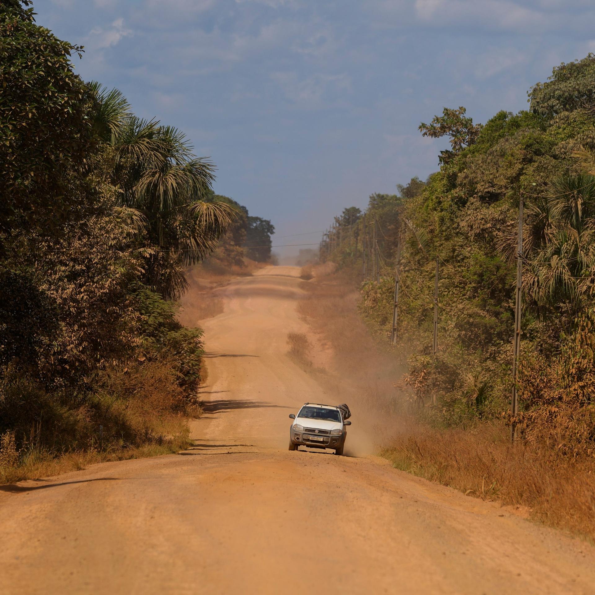 Brasiliens Urwald - Streit um einen Highway durch den Amazonas