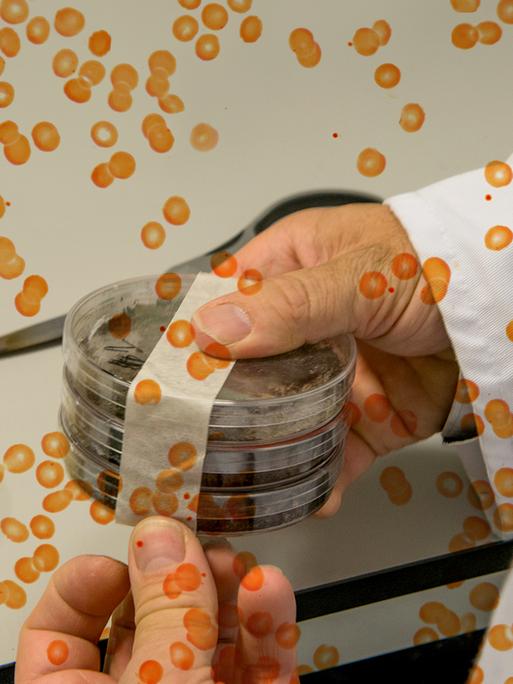 Eine Person hält mehrer übereinander gestapelte Petrischalen in der Hand. Das Foto wird von einer Grafik aus orangen Punkten überlagert.