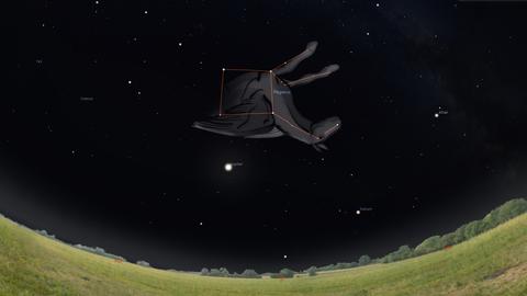 Pegasus fliegt in diesen Wochen oberhalb von Jupiter kopfüber über den Himmel. 