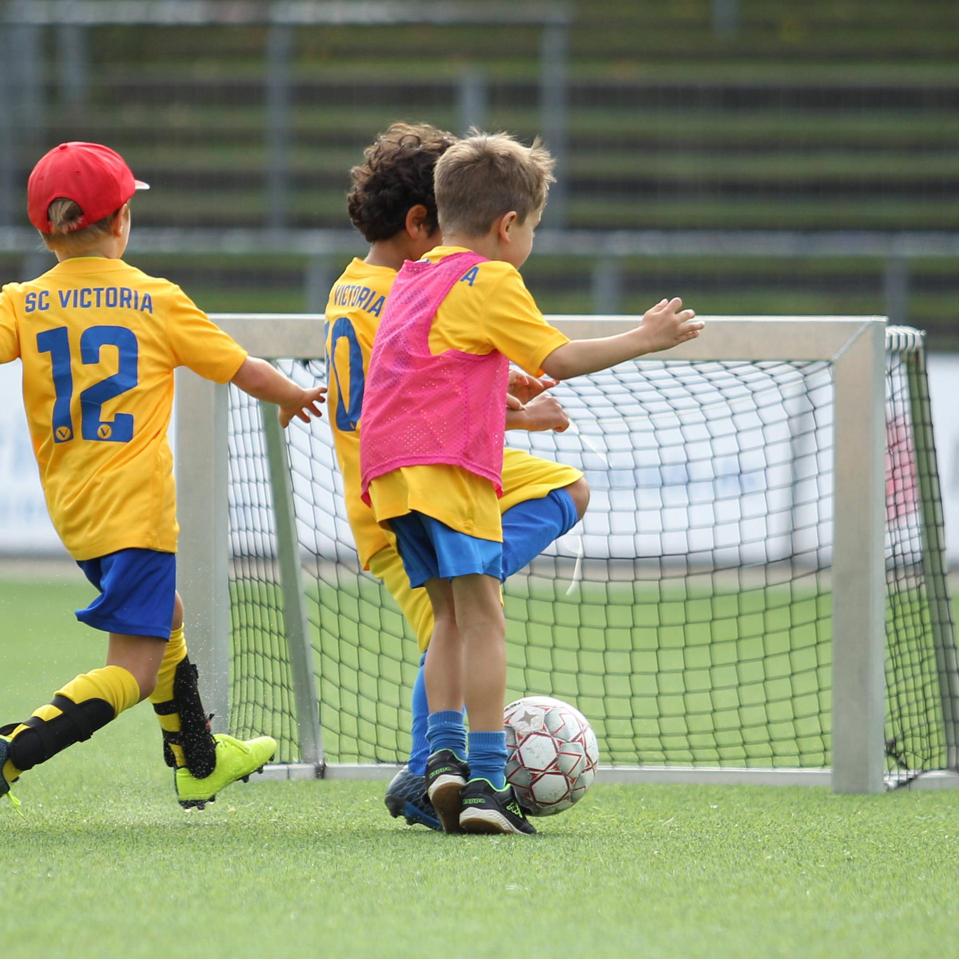 Serie zur Reform des Nachwuchsfußballs - Ein Wissenschaftler als Faktenchecker