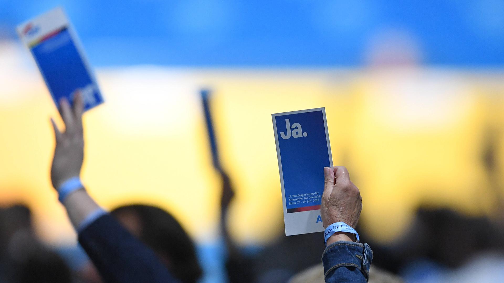 Zwei Hände halten einen blauen Stimmzettel auf einem Parteitag der AfD in die Luft. Auf diesem steht in weißen Buchstaben "Ja." Im verschwommenen Hintergrund sieht man weitere in die Höhe gehaltenen Stimmzettel.