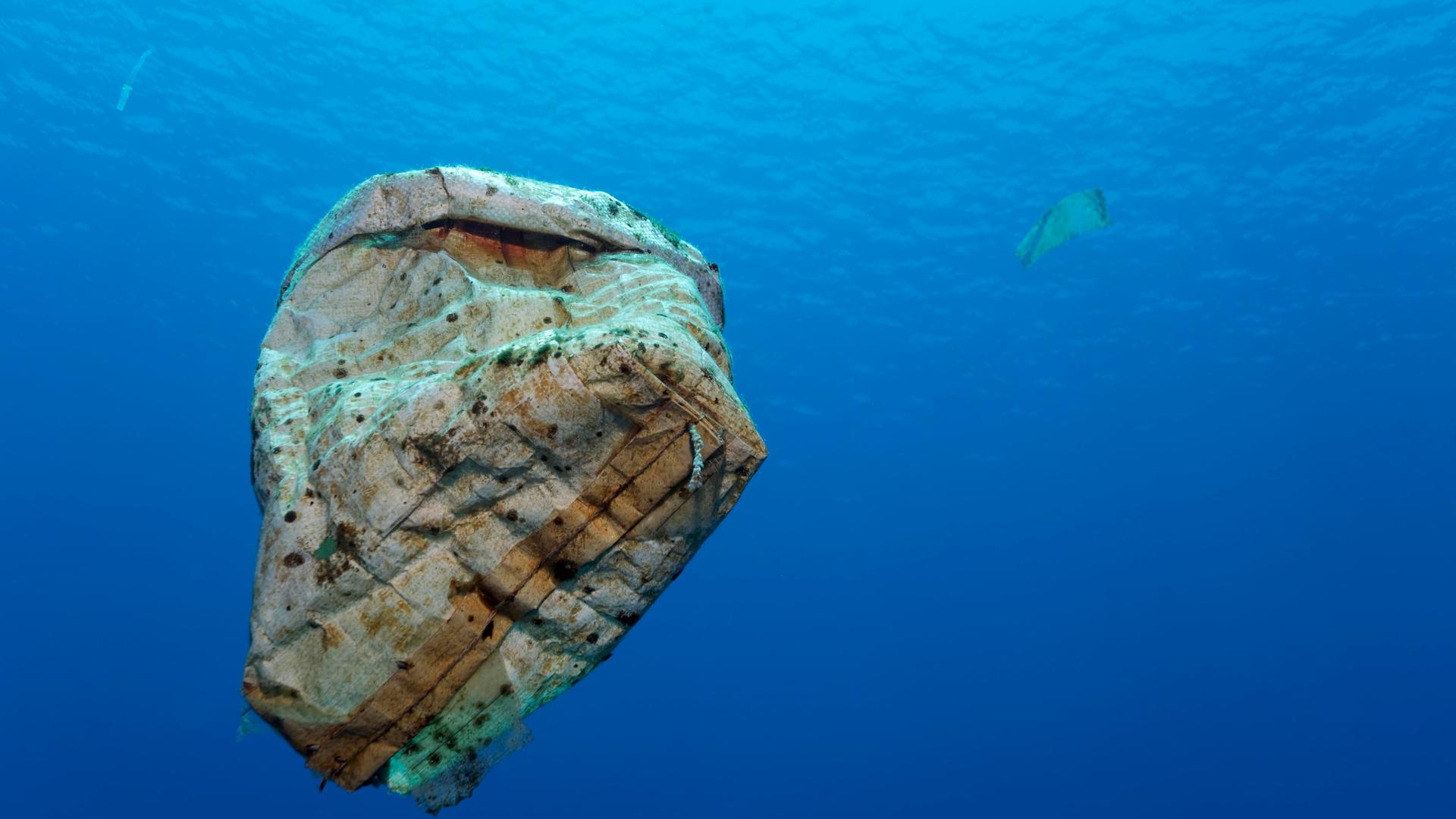Plastikmüll treibt im offenen Meer, Wakatobi Island, Tukangbesi-Archipel, Wakatobi National Park, UNESCO Weltnaturerbe, Bandasee, Südost-Sulawesi, Indonesien, Asien