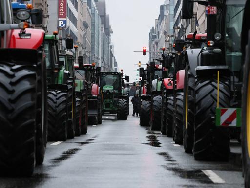 Mehrere Traktoren auf einer Straße in Brüssel.