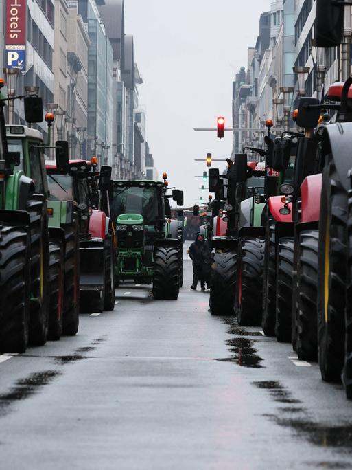 Mehrere Traktoren auf einer Straße in Brüssel.
