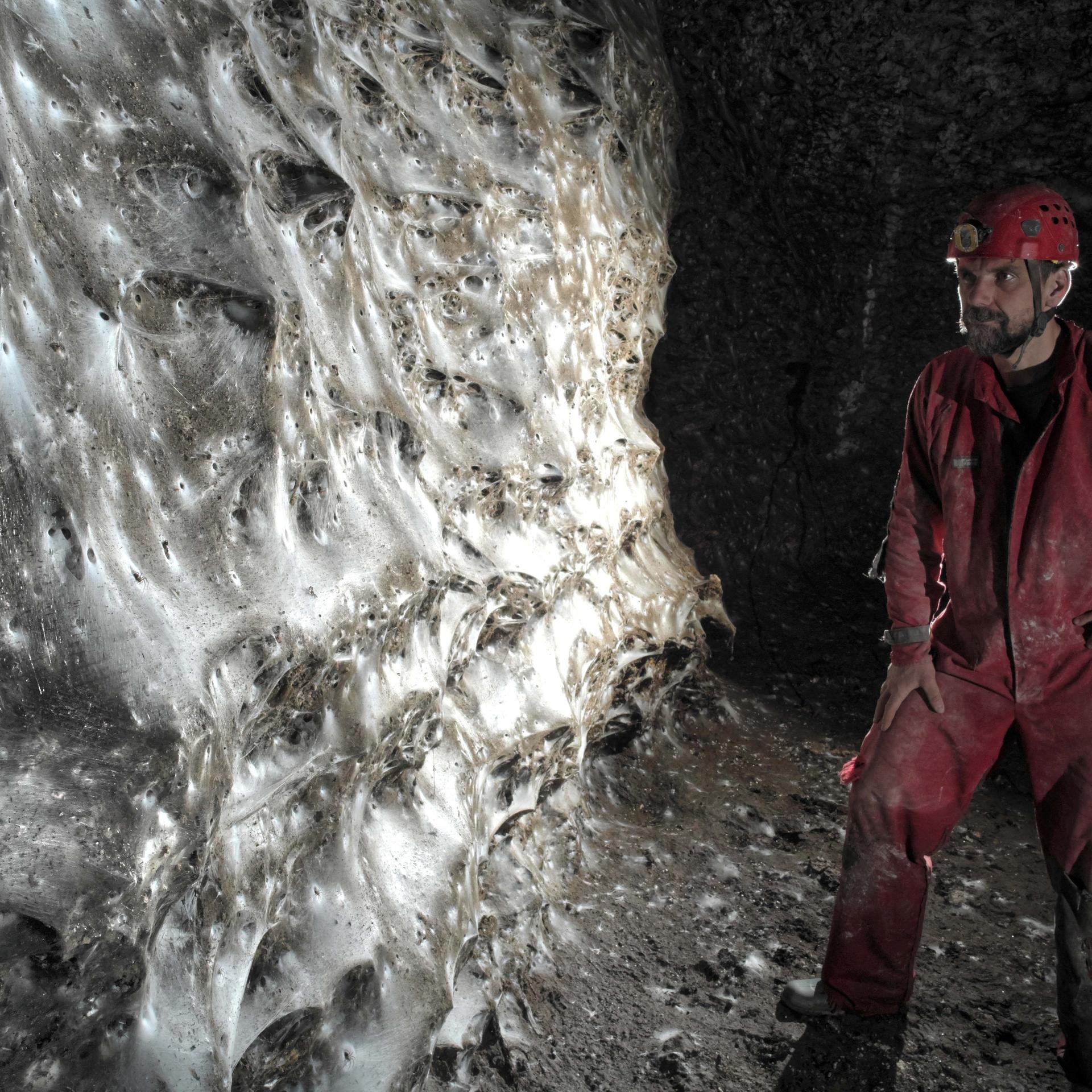 Ein Wissenschaftler steht vor dem riesigen Spinnennetz.