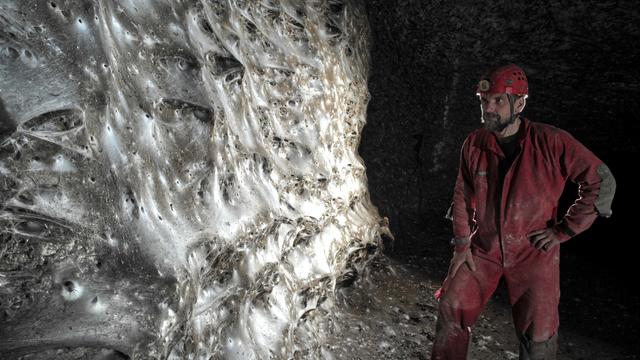 Ein Wissenschaftler steht vor dem riesigen Spinnennetz.