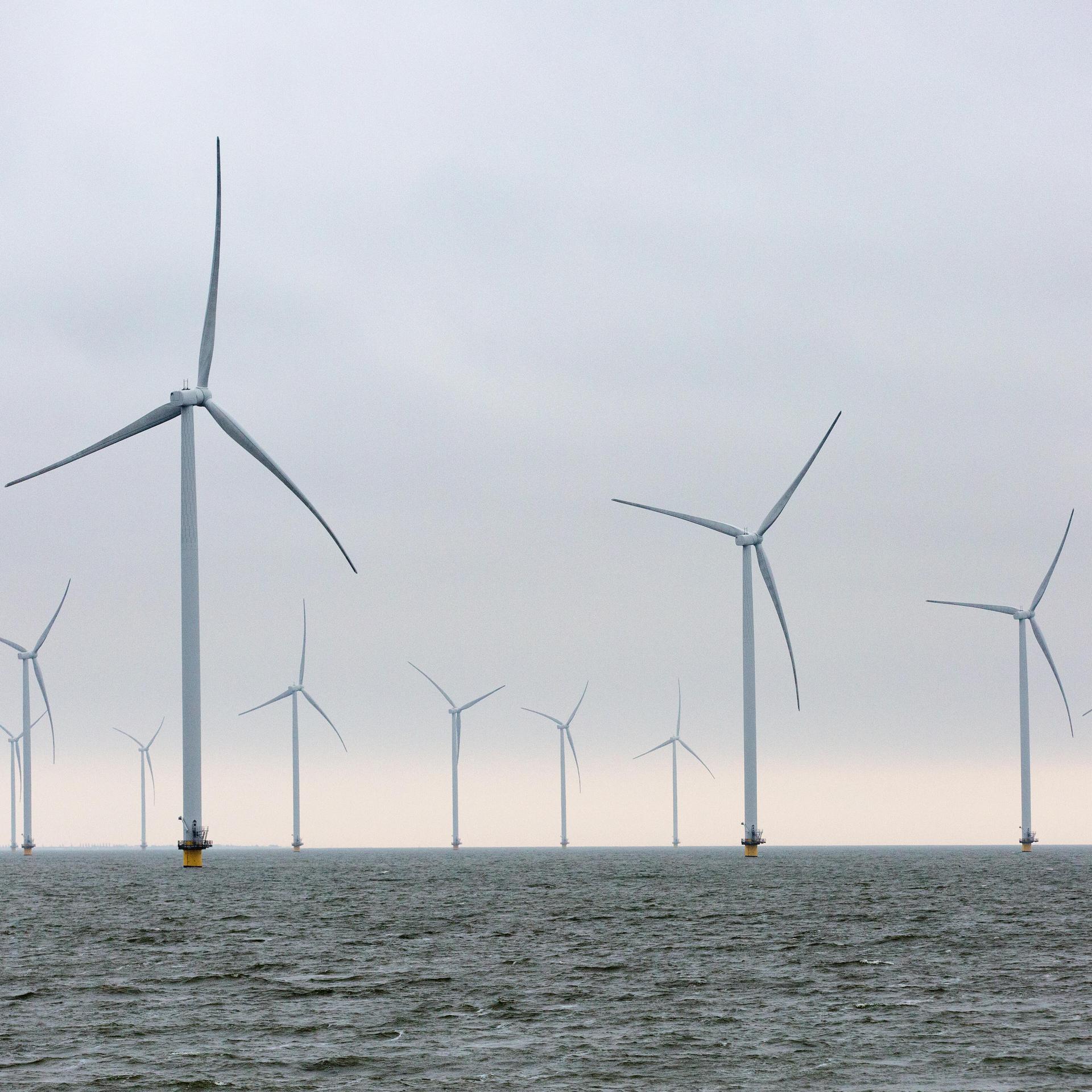 Offshore- Windkraftwerke in der Nordsee