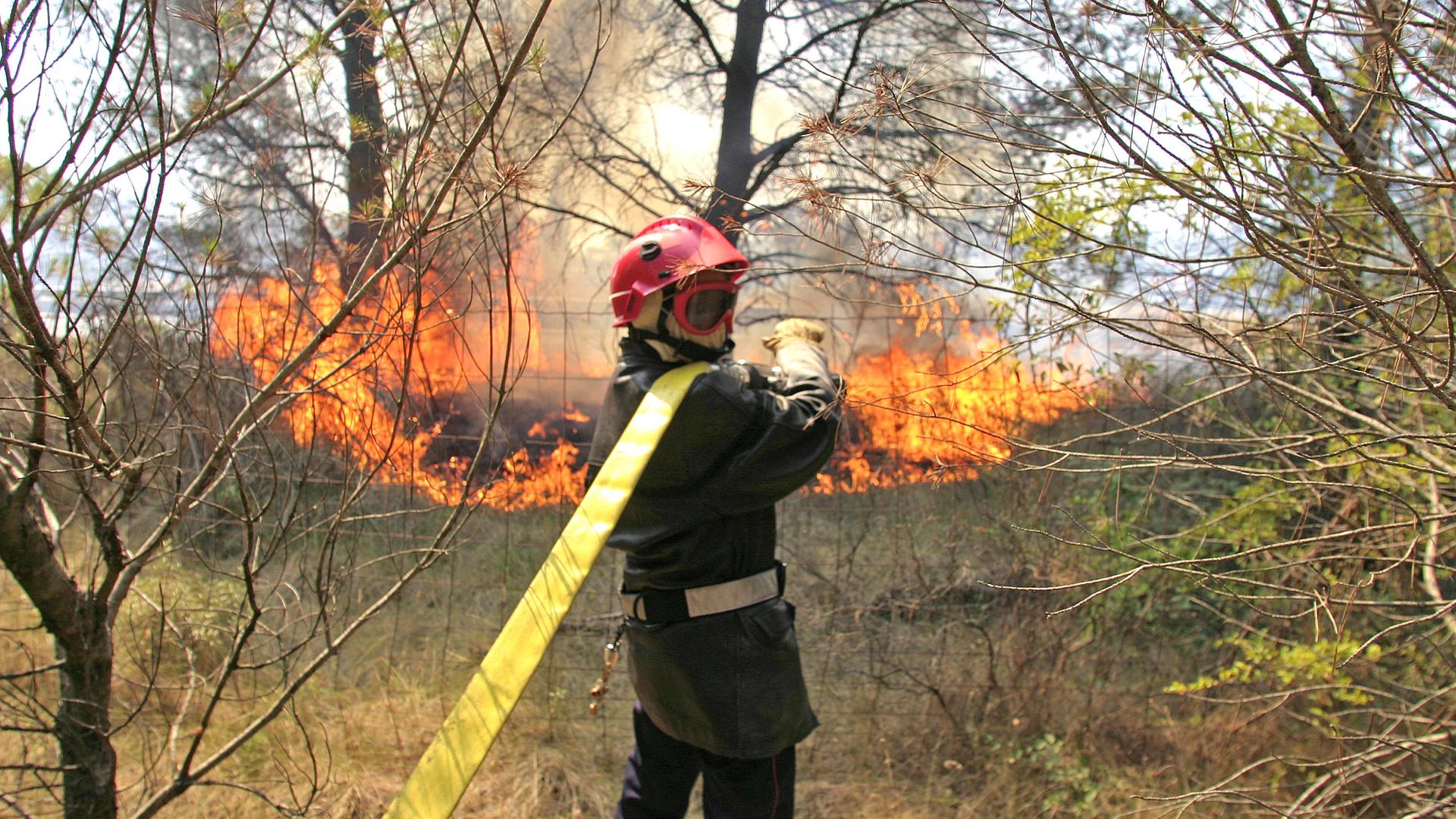 Ein Feuerwehrmann mit einem Wasser-Schlauch über der Schulter. Im Hintergrund brennen Büsche und Bäume. Ein Feuerwehrmann mit einem Wasser-Schlauch über der Schulter. Im Hintergrund brennen Büsche und Bäume.