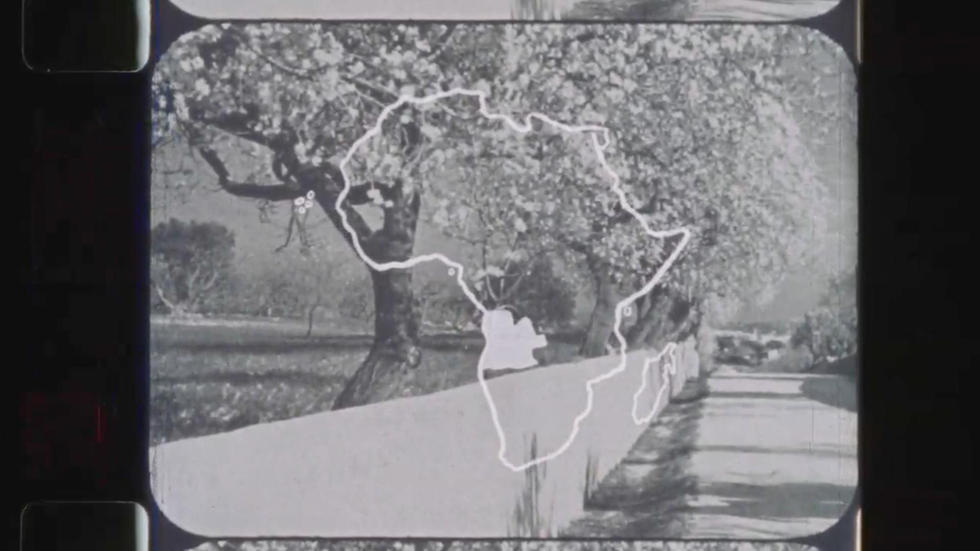 Im Still aus "On Africa" wird eine weiße Illustration des afrikanischen Kontinents über Schwarzweißaufnahmen von Bäumen eingeblenet.