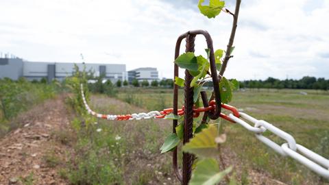 Ein Kette hängt vor einer Wiese in einem Industriepark im Dresdner Stadtteil Klotzsche. Im Hintergrund ist die Halbleiterfabrik von Bosch zu sehen. Der taiwanische Chiphersteller TSMC will ein Halbleiterwerk im Industriepark in Dresden errichten.