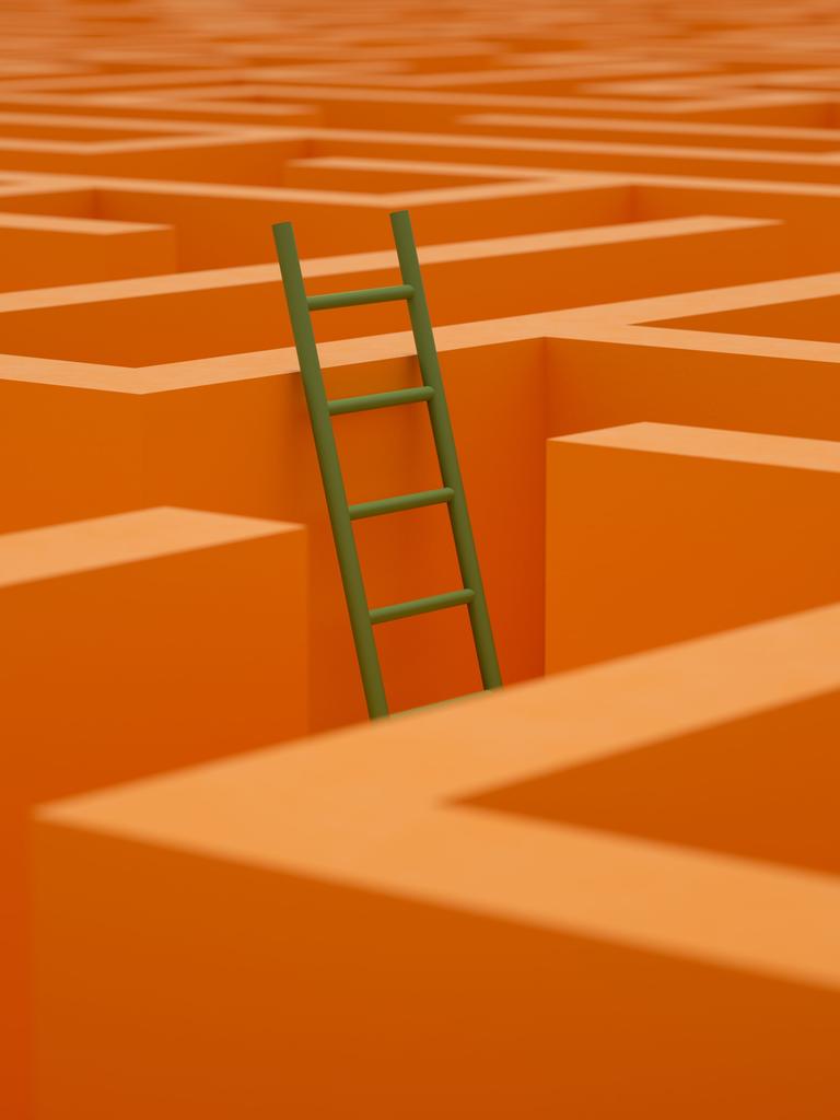 In einem orangenen Labyrith steht an einer Stelle eine Leiter, die über die Wände hinaus ragt und so den Blick auf das große Ganze ermöglicht.
