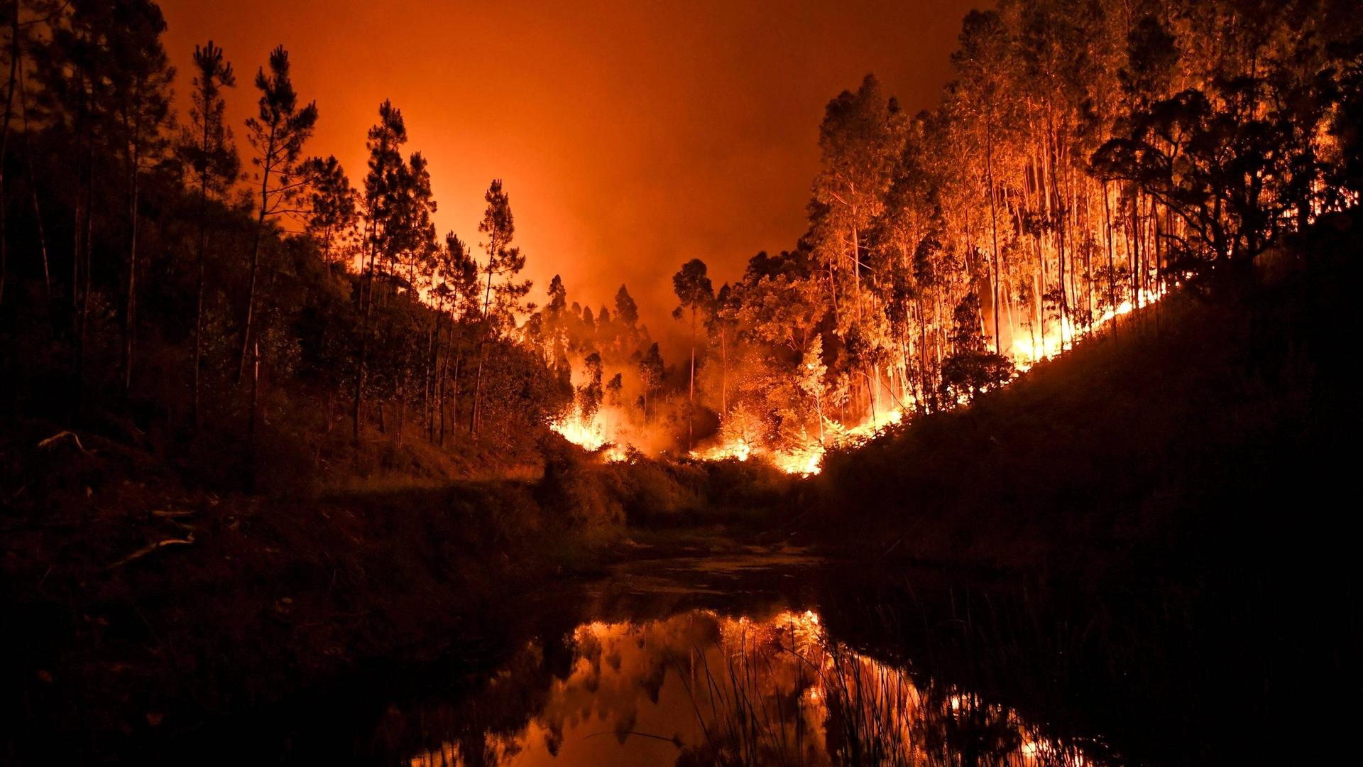 Flammen eines Waldbrandes an der Algarve in Portugal, 04 März 2022

