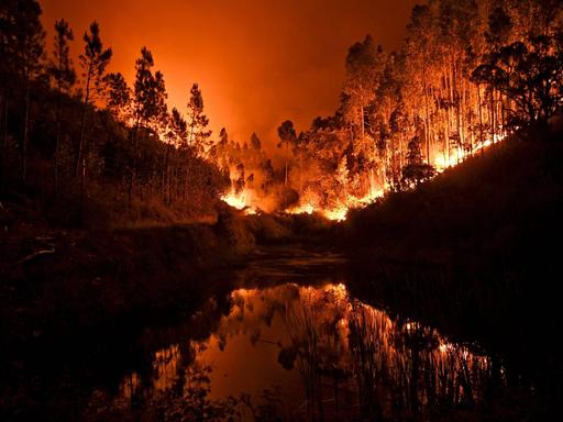 Flammen eines Waldbrandes an der Algarve in Portugal, 04 März 2022

