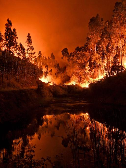 Flammen eines Waldbrandes an der Algarve in Portugal, 04 März 2022

