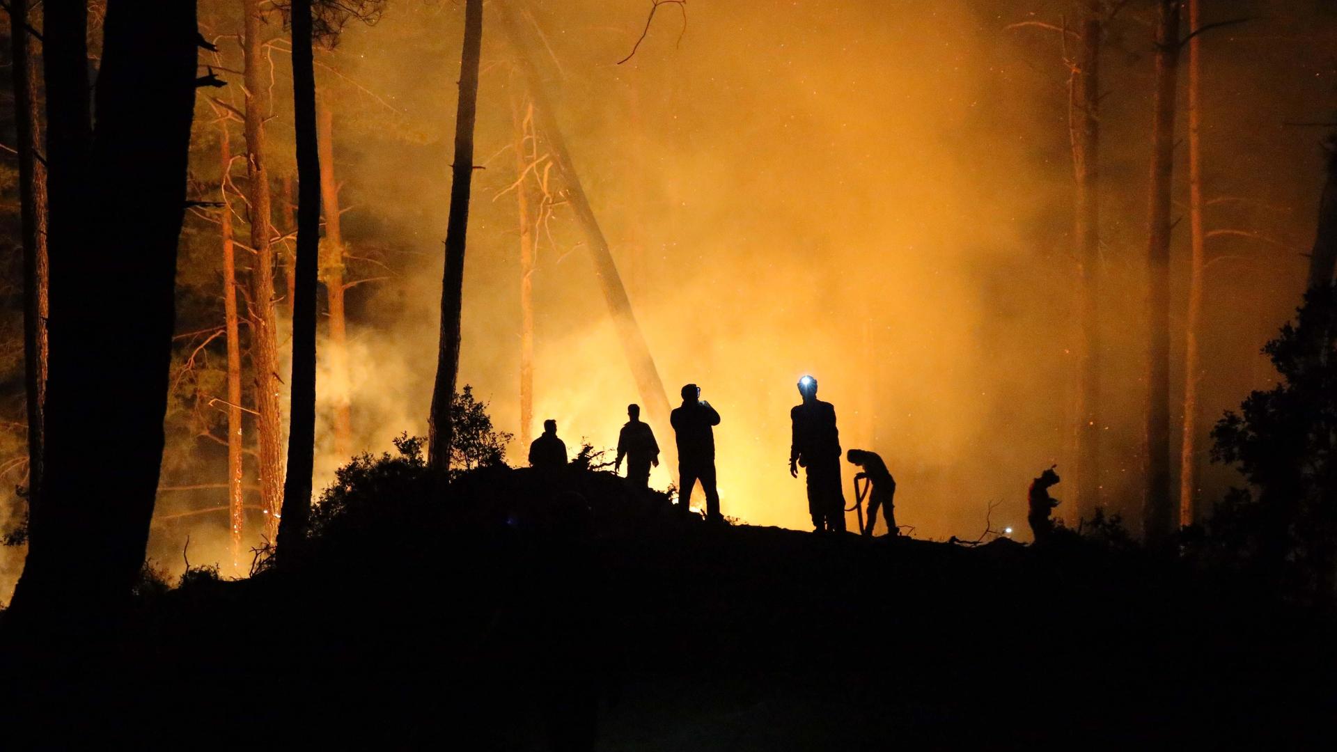 Feuerwehrleute versuchen einen Waldbrand in Mugla, in der Türkei, zu löschen. Es ist Nacht und alles dunkel, das Feuer leuchtet rot.