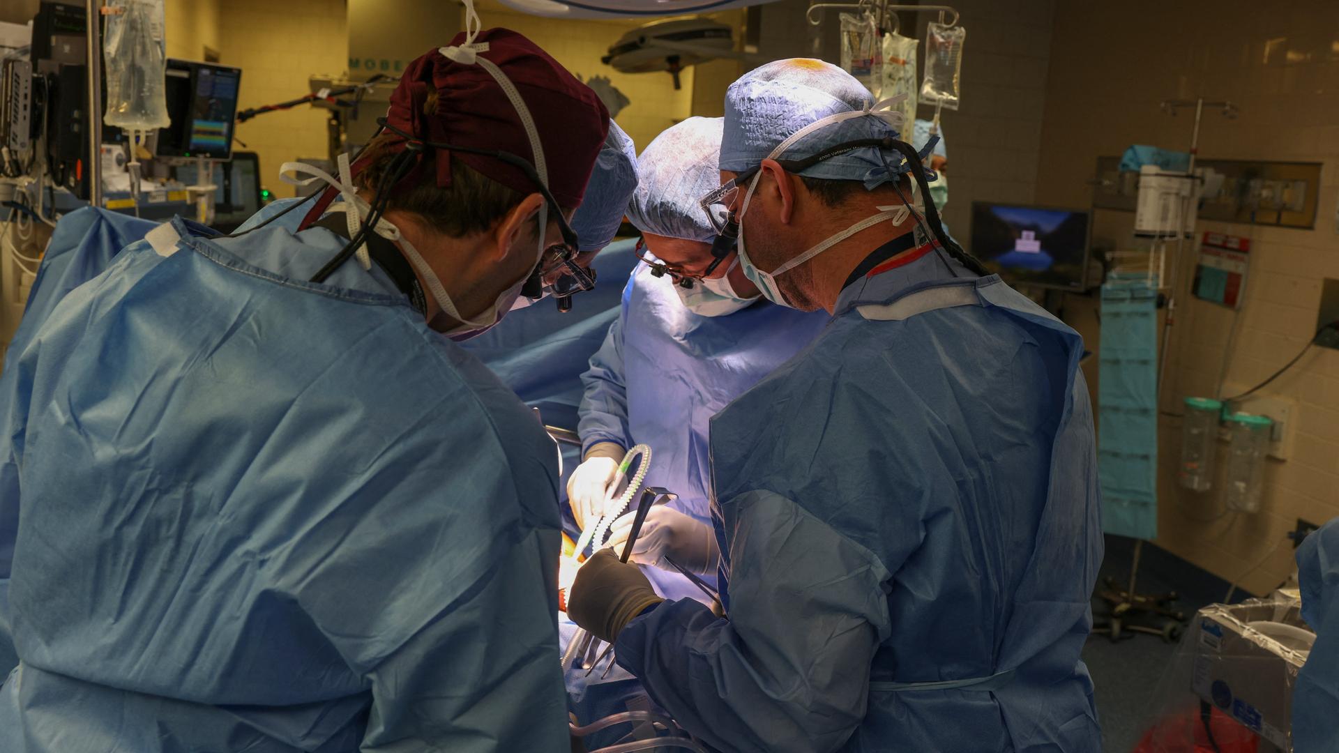 Das Foto des Massachusetts General Hospital in Boston zeigt Chirurgen, die einem Mann erstmals eine genetisch veränderte Schweineniere transplantieren.