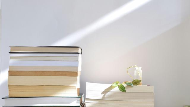 Zwei Stapel Bücher vor einer weißen Wand mit schräg einfallenden Sonnenstrahlen