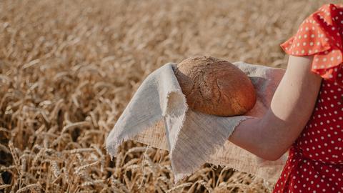 Eine junge Frau mit einem Laib Brot in der Hand in einem Getreidefeld