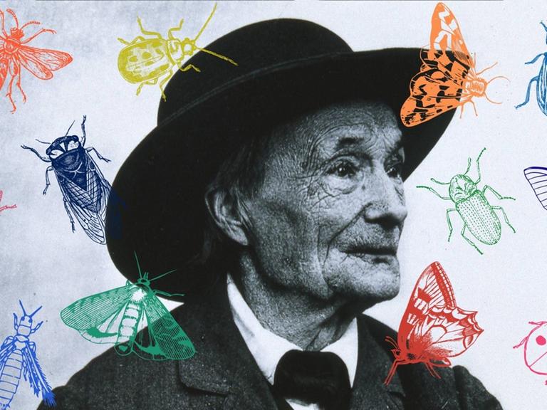 Eine Collage vom Portrait Jean-Henri Fabre mit Insekten. 