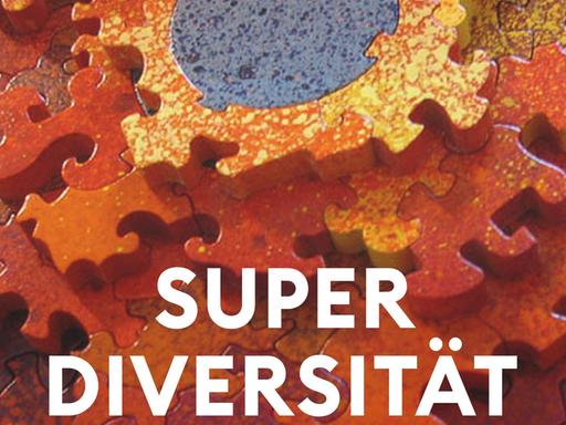 Buchcover mit der Aufschrift: Superdiversität. Migration und soziale Komplexität.