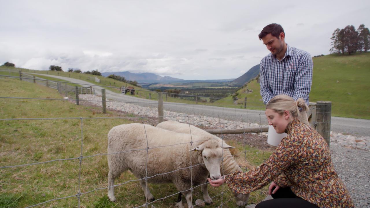 Ein Paar steht am Rand einer Wiese in idyllischer Landschaft. Sie füttert die Schafe.