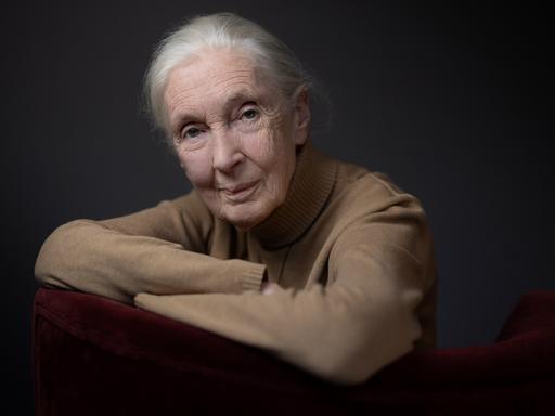 Jane Goodall stützt sich auf einem Stuhl ab und schaut ernst in die Kamera. Sie trägt einen beigen Pullover und das weiße Haar zum Zopf gebunden.