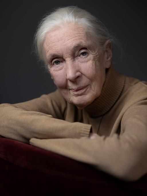 Jane Goodall stützt sich auf einem Stuhl ab und schaut ernst in die Kamera. Sie trägt einen beigen Pullover und das weiße Haar zum Zopf gebunden.